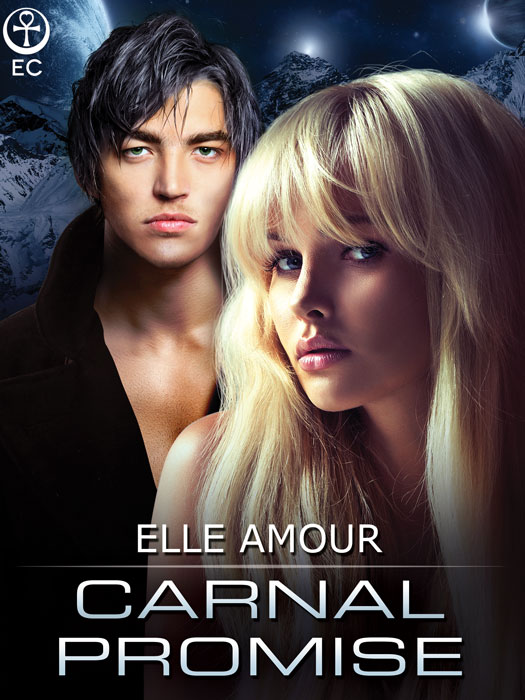 CarnalPromise (2015) by Elle Amour