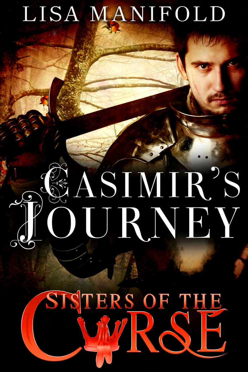 Casimir's Journey