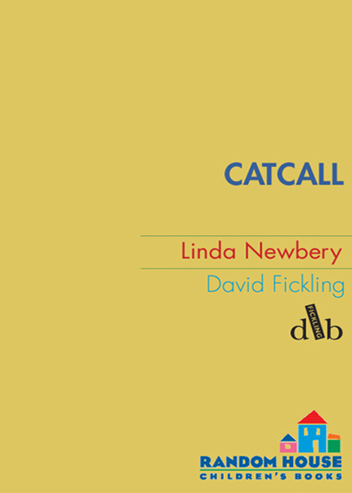 Catcall (2008) by Linda Newbery