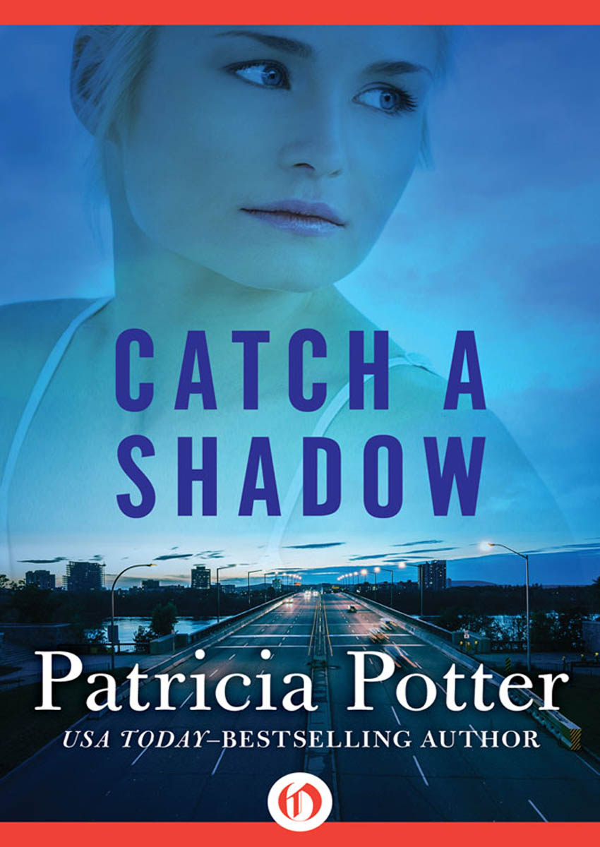 Catch a Shadow by Potter, Patricia;