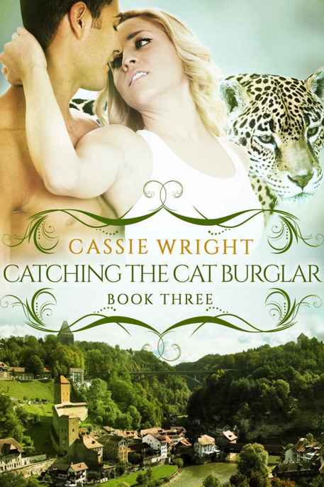 Catching the Cat Burglar by Cassie Wright