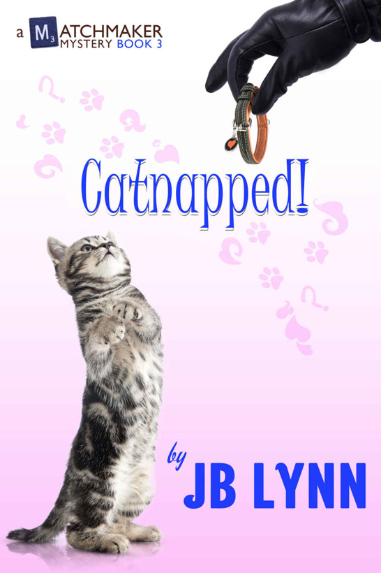 Catnapped! (A Matchmaker Mystery Book 3) by J.B. Lynn