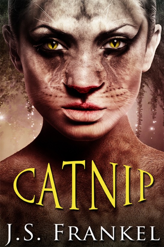 Catnip by J.S. Frankel