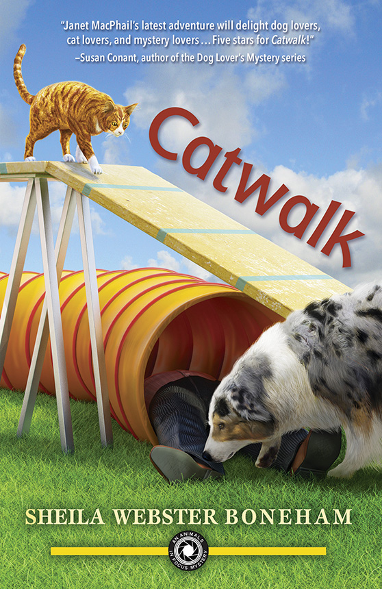 Catwalk (2014)