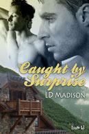 Caught by Surprise (2010) by L.D. Madison