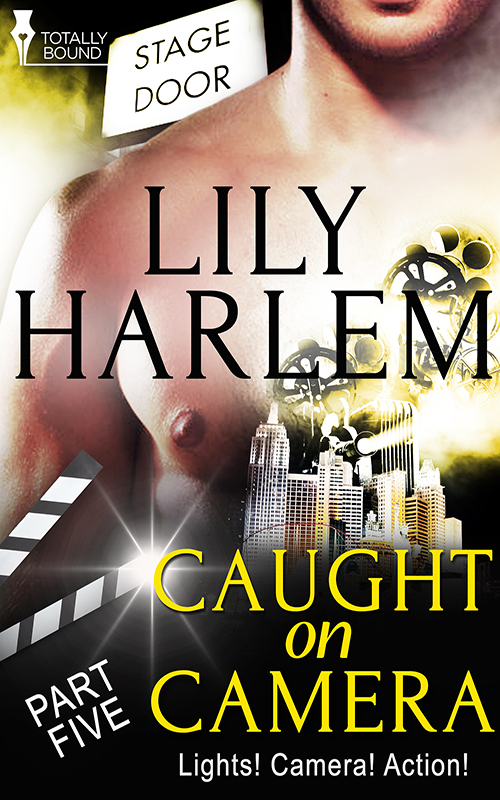 Caught on Camera: Part Five (2015) by Lily Harlem