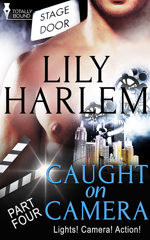 Caught on Camera: Part Four (2015)