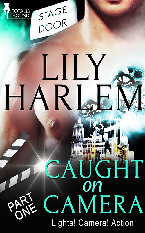 Caught on Camera: Part One (2014) by Lily Harlem