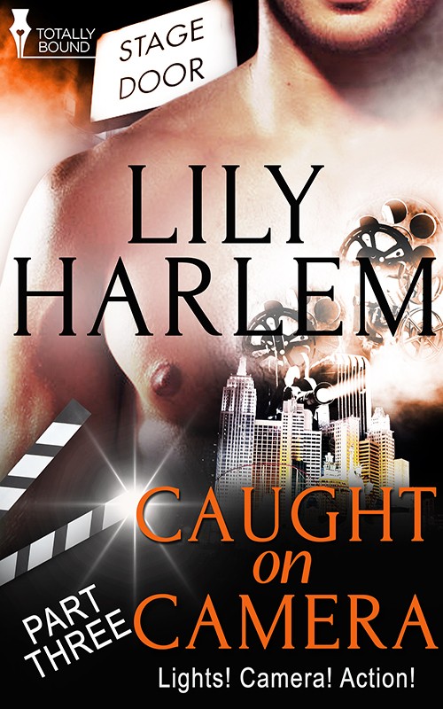 Caught on Camera: Part Three (2014) by Lily Harlem