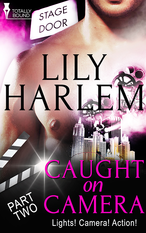 Caught on Camera: Part Two (2014) by Lily Harlem