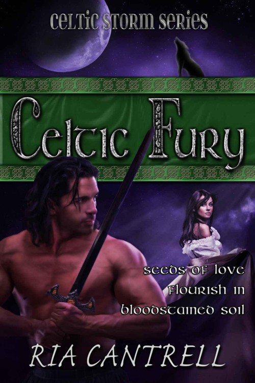 Celtic Fury by Cantrell, Ria