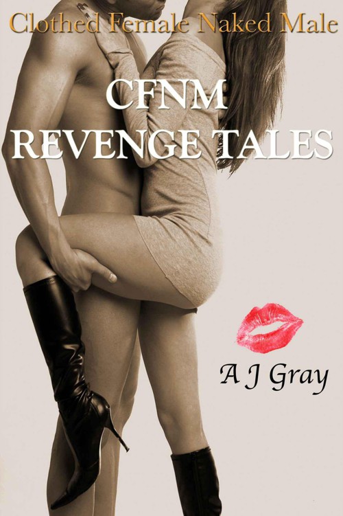 CFNM Revenge Tales by Gray, AJ