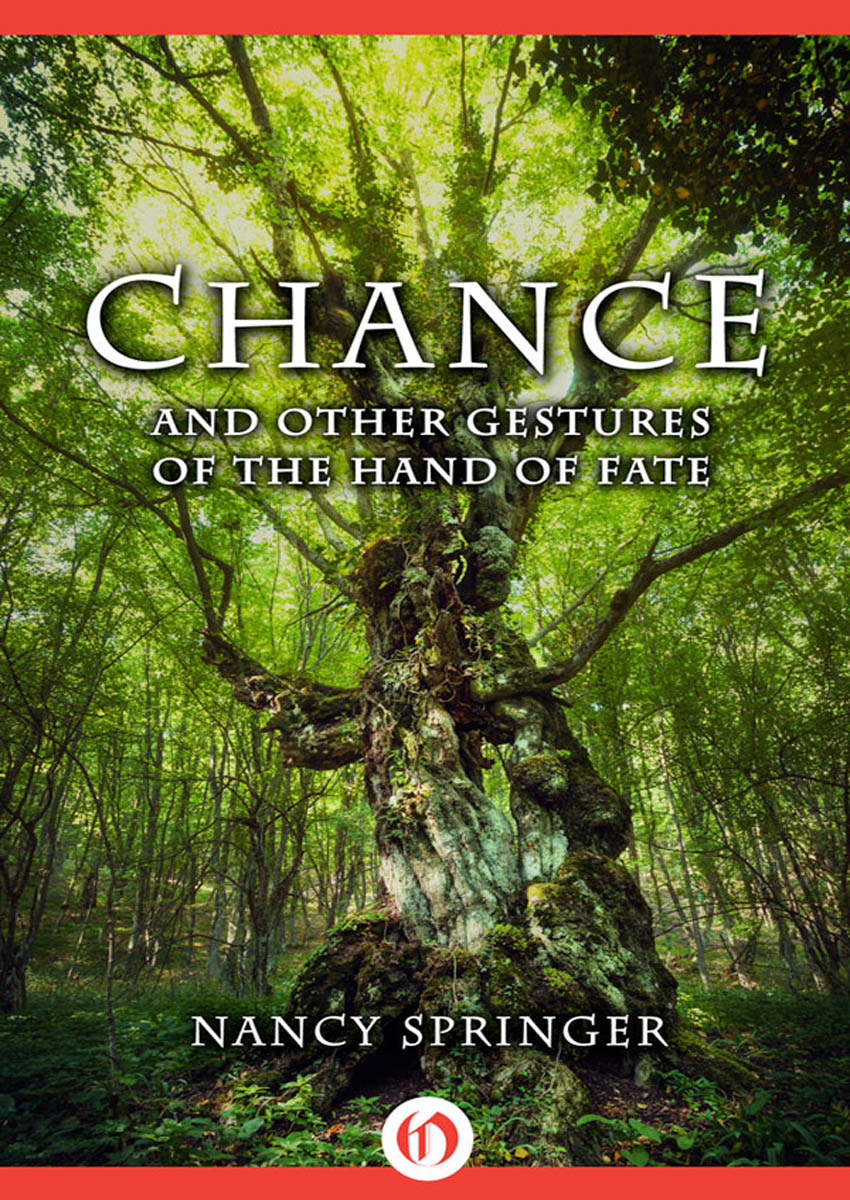 Chance by Nancy Springer