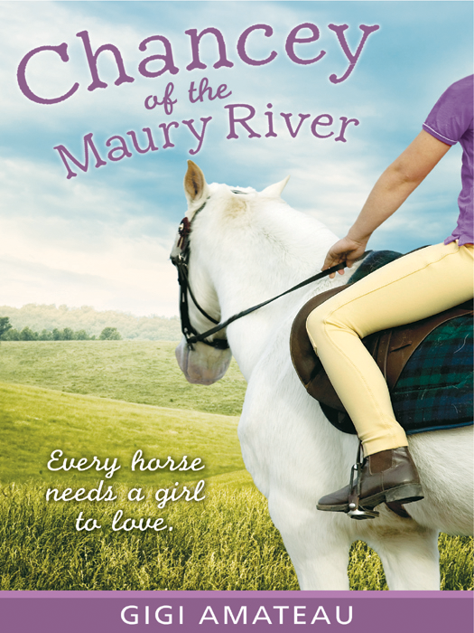 Chancey of the Maury River (2008) by Gigi Amateau