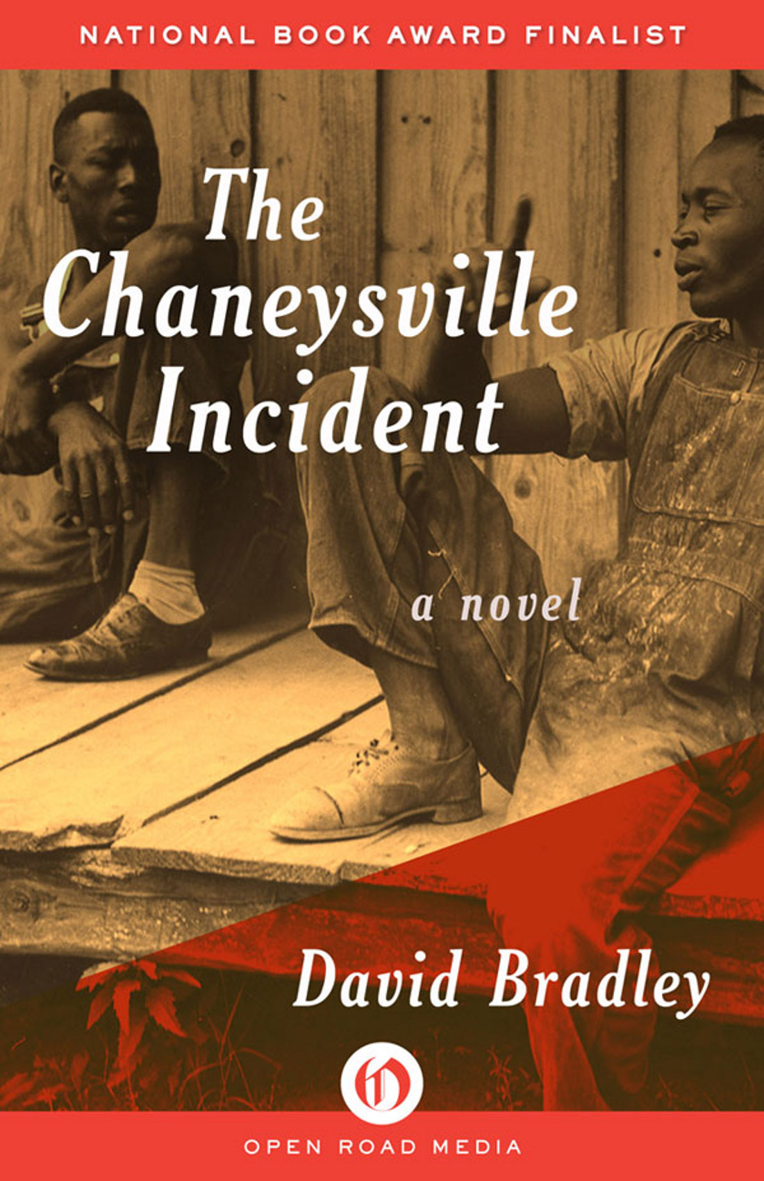 Chaneysville Incident by David  Bradley