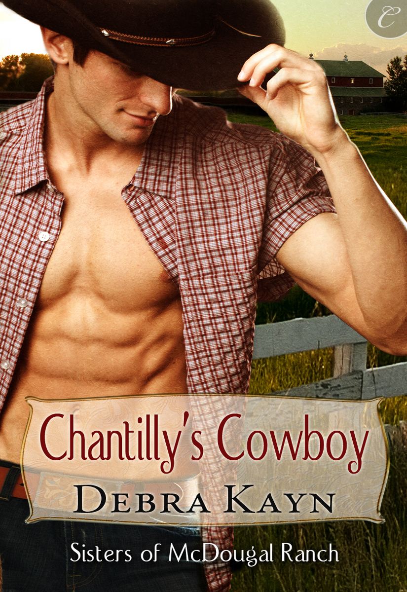 Chantilly’s Cowboy (2011) by Debra Kayn