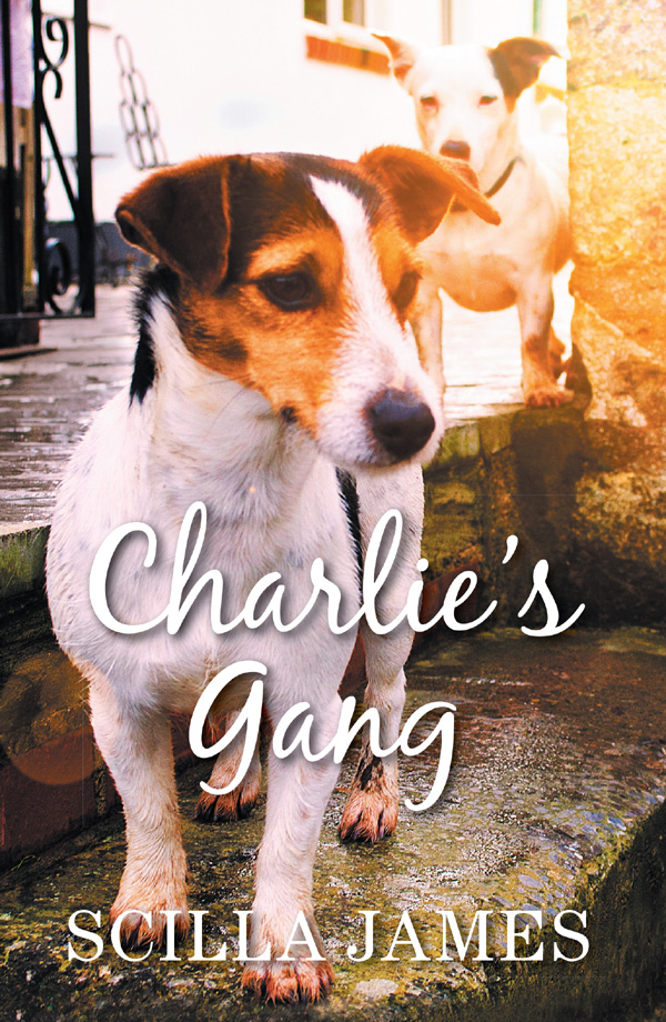 Charlie's Gang (2015)