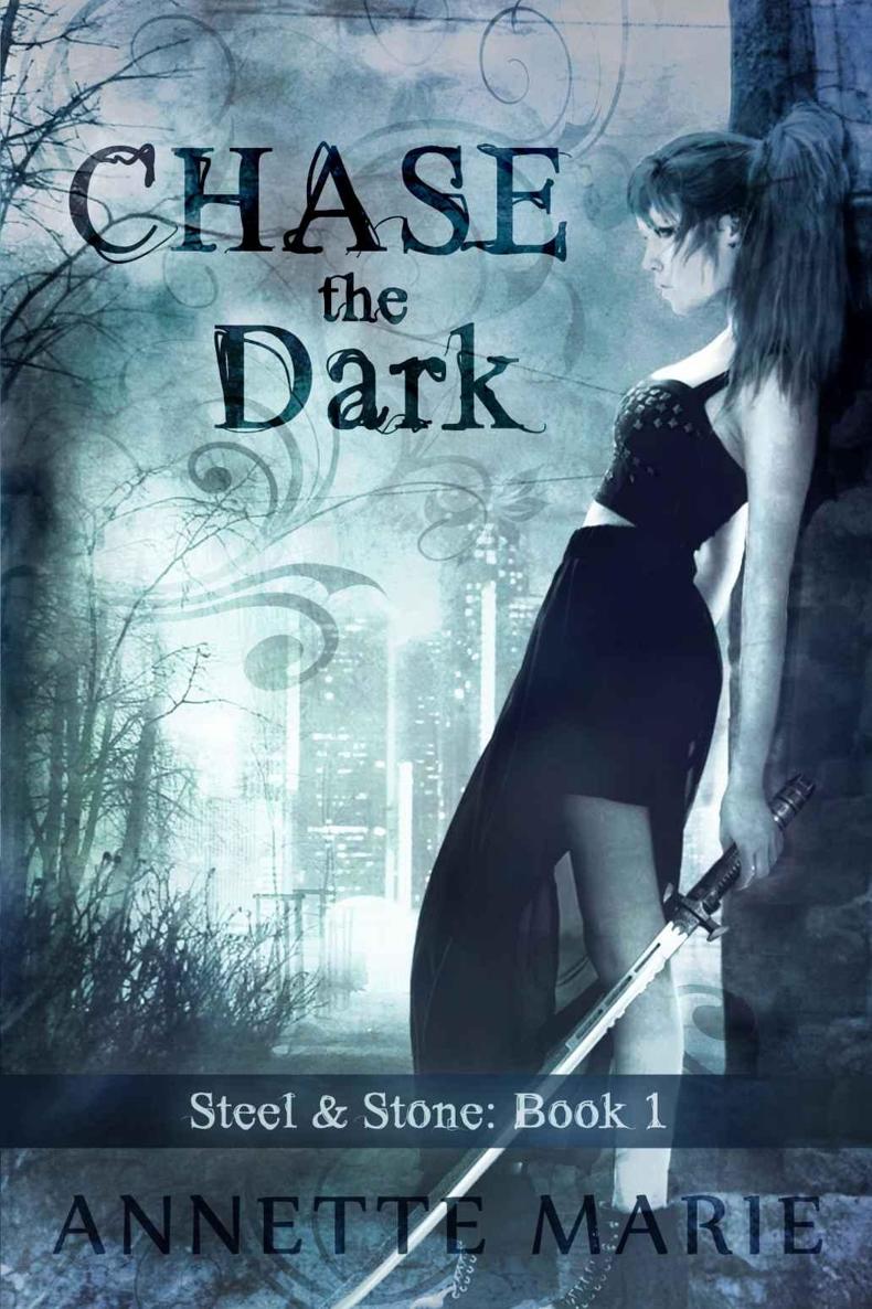 Chase the Dark by Annette Marie