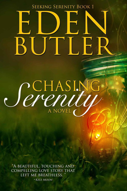 Chasing Serenity (Seeking Serenity)