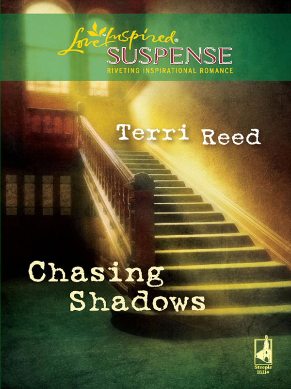 Chasing Shadows (2009) by Terri Reed