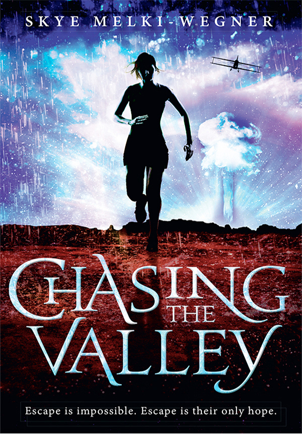 Chasing the Valley (2012)