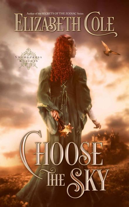 Choose the Sky: A Medieval Romance (Swordcross Knights Book 2) by Elizabeth Cole