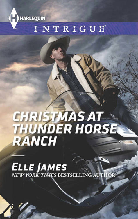 CHRISTMAS AT THUNDER HORSE RANCH by Elle James