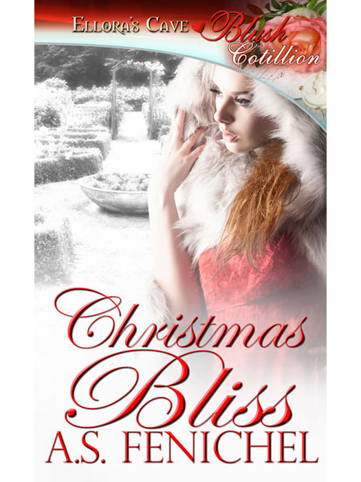 Christmas Bliss by A. S. Fenichel