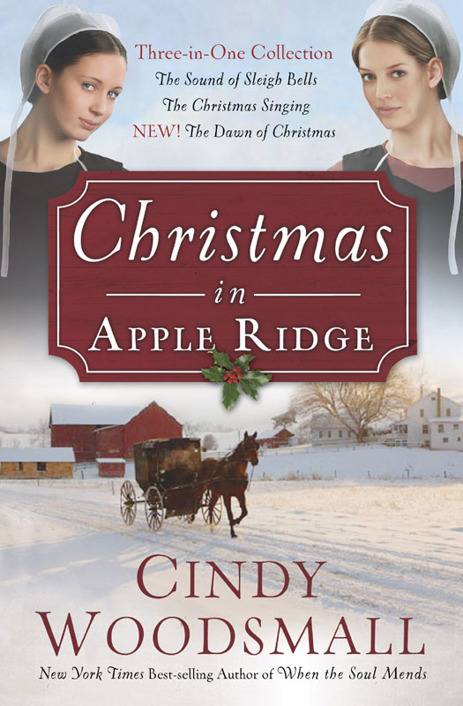 Christmas in Apple Ridge by Cindy Woodsmall