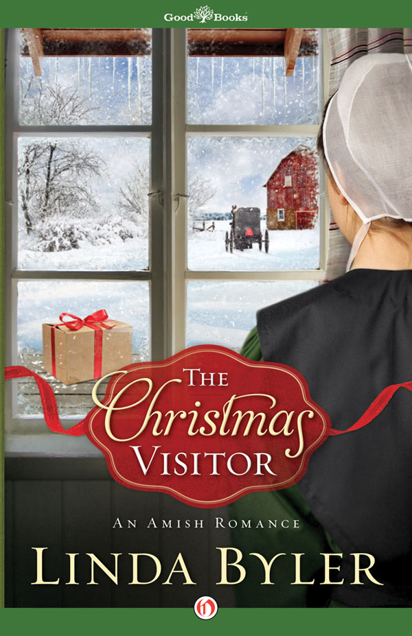 Christmas Visitor (2013) by Linda Byler