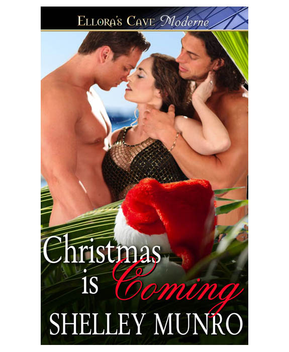 ChristmasisComing (2012) by Shelley Munro