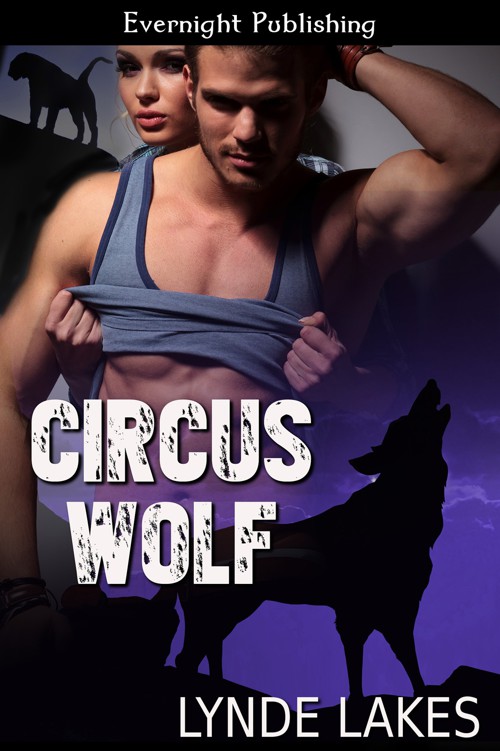 Circus Wolf by Lynde Lakes