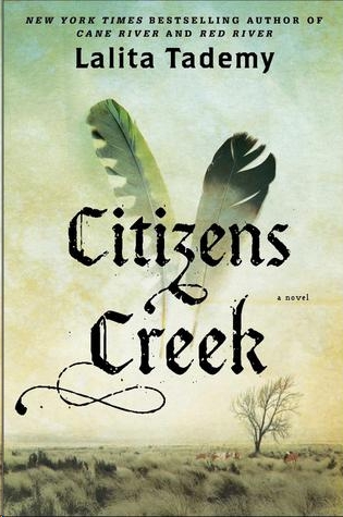 Citizens Creek by Lalita Tademy