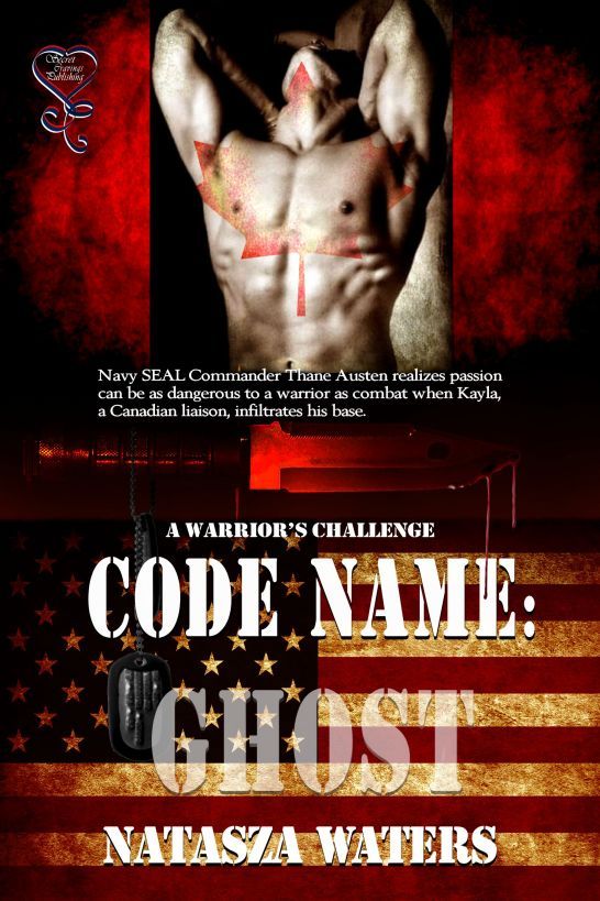 Code Name: Ghost (A Warrior's Challenge 1)