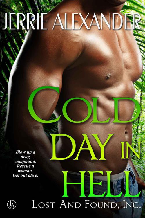 Cold Day In Hell by Jerrie Alexander