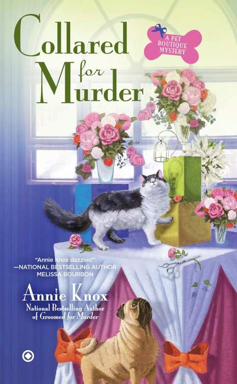 Collared For Murder by Annie Knox