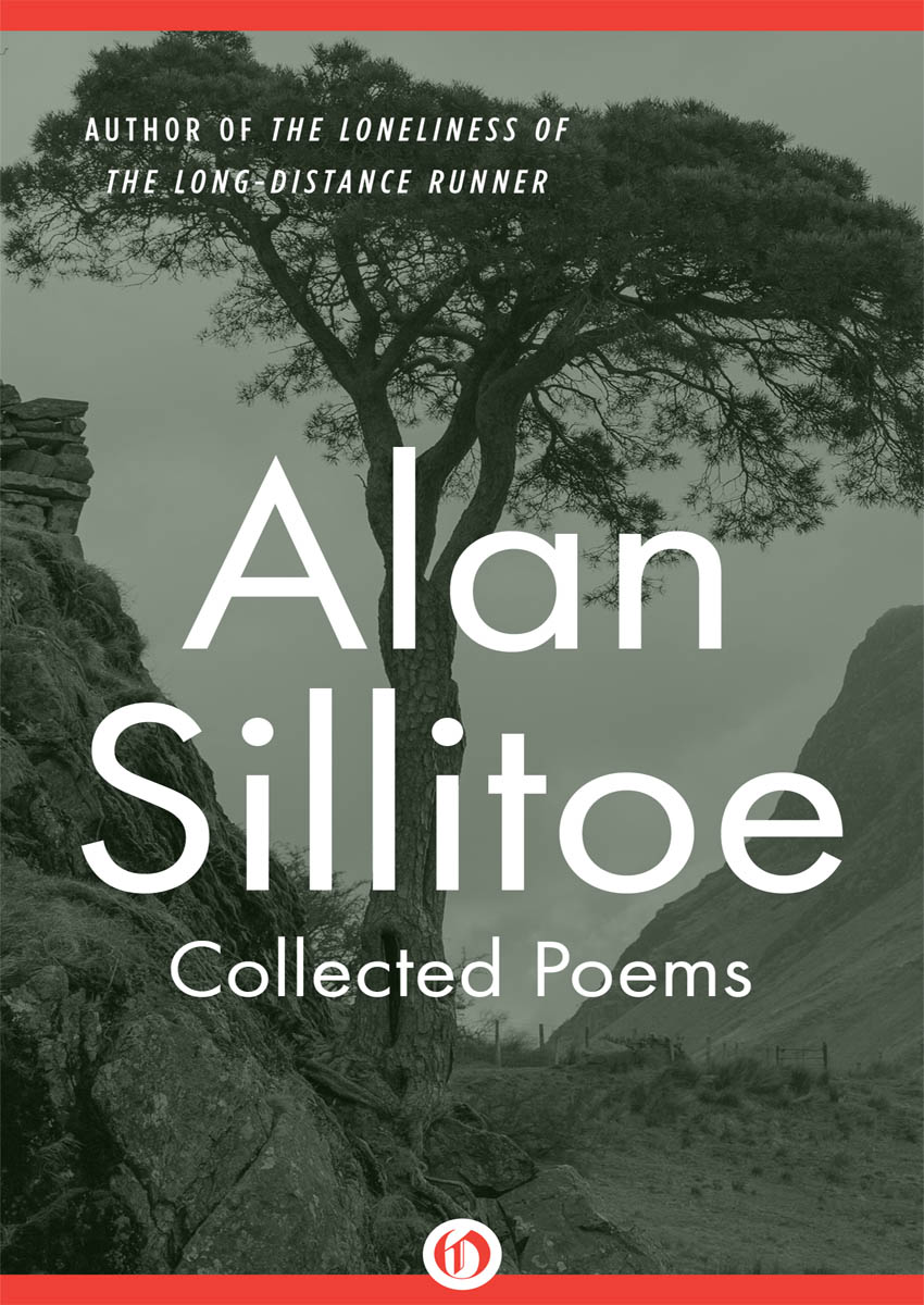 Collected Poems (2016)