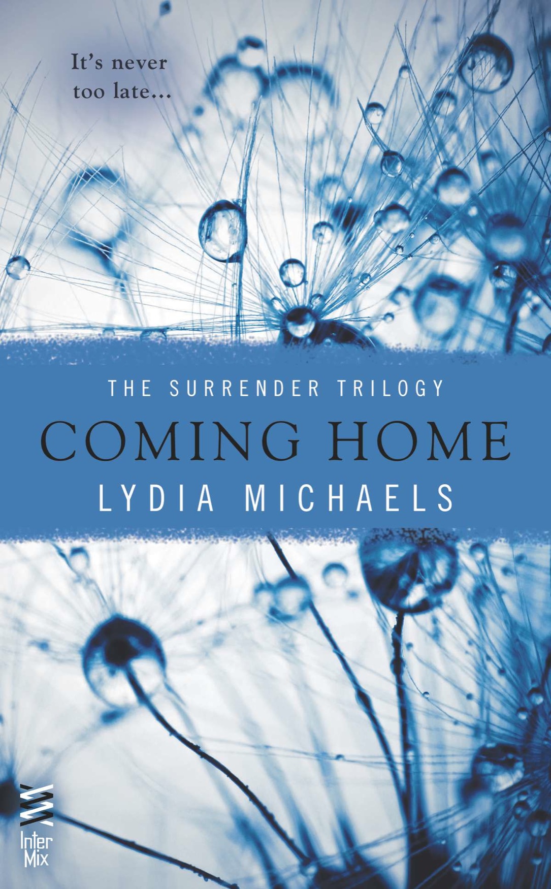 Coming Home (2014) by Lydia Michaels