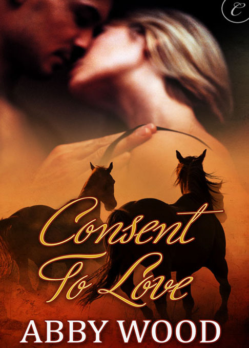 Consent to Love (2012)