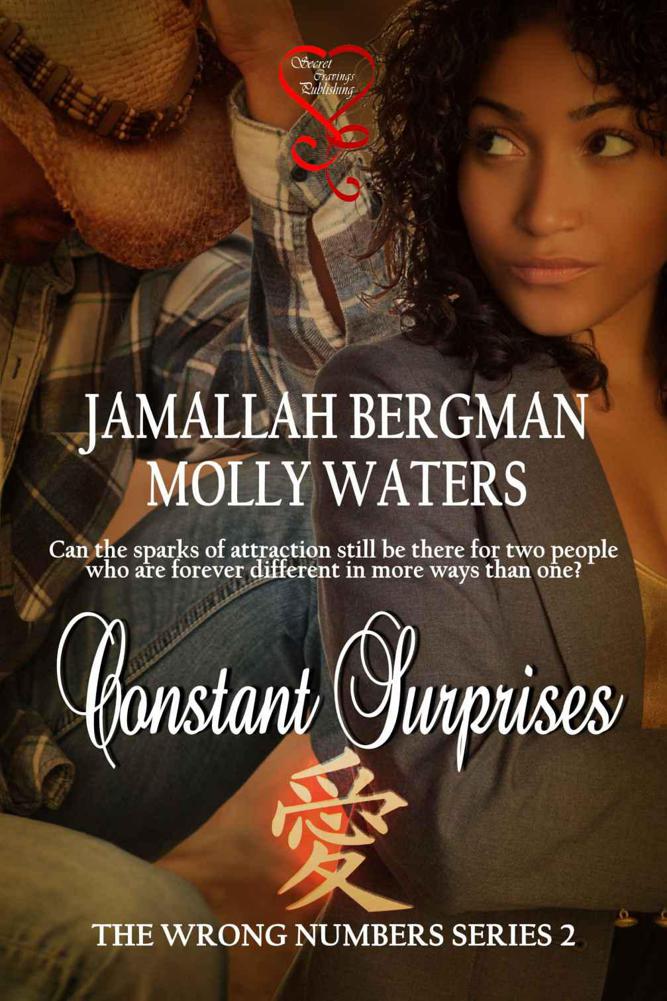 Constant Surprises (Wrong Numbers Series) by Bergman, Jamallah