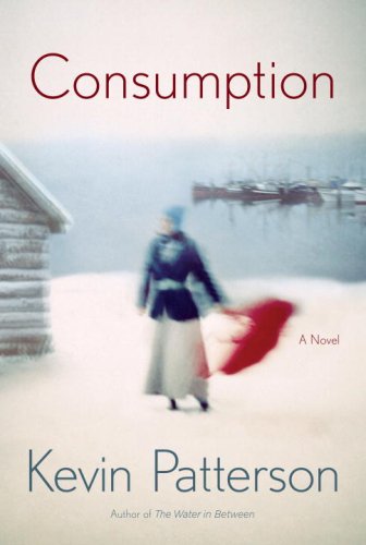 Consumption (2007)