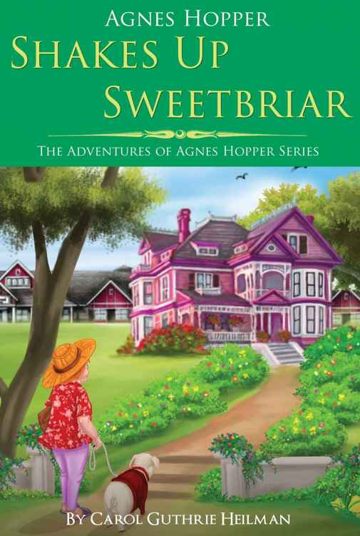 Contemporary Women's Fiction: Agnes Hopper Shakes Up Sweetbriar (Humorous Women's Fiction) by Carol Heilman