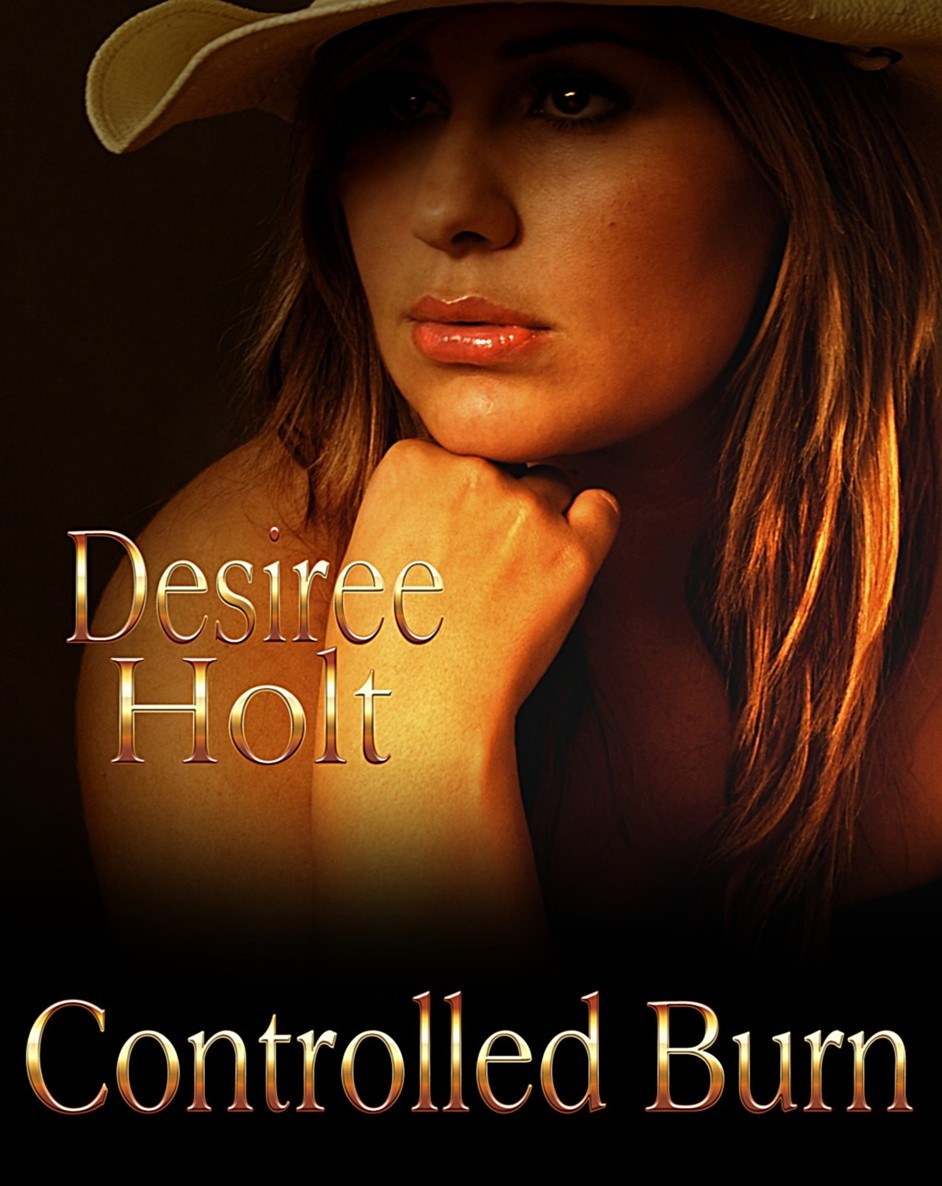 Controlled Burn READ ONLINE FREE book by Desiree Holt in EPUB,TXT.