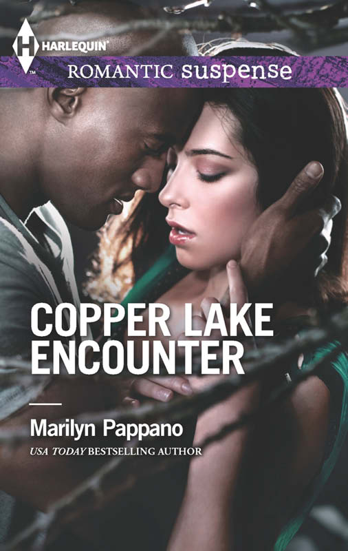 Copper Lake Encounter (2013) by Marilyn Pappano