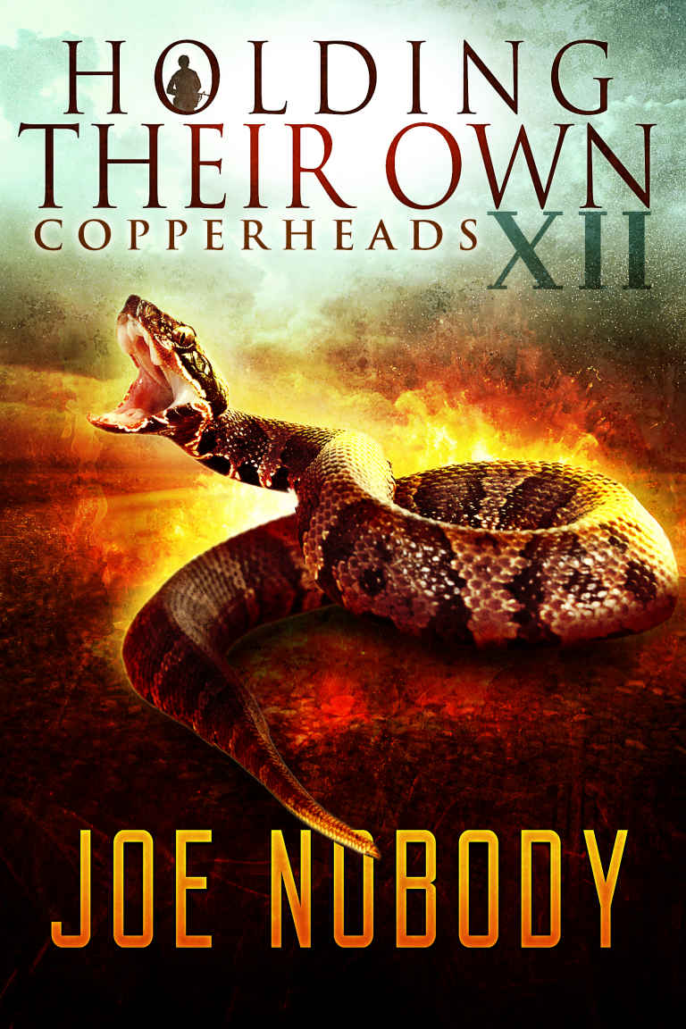 Copperheads - 12 by Joe Nobody