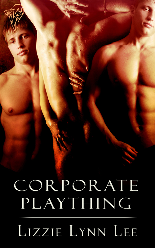 Corporate Plaything (2012)