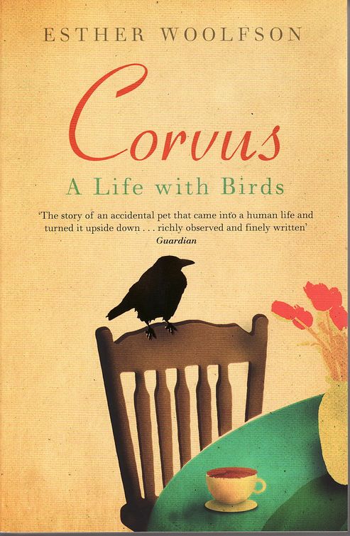 Corvus (2008)