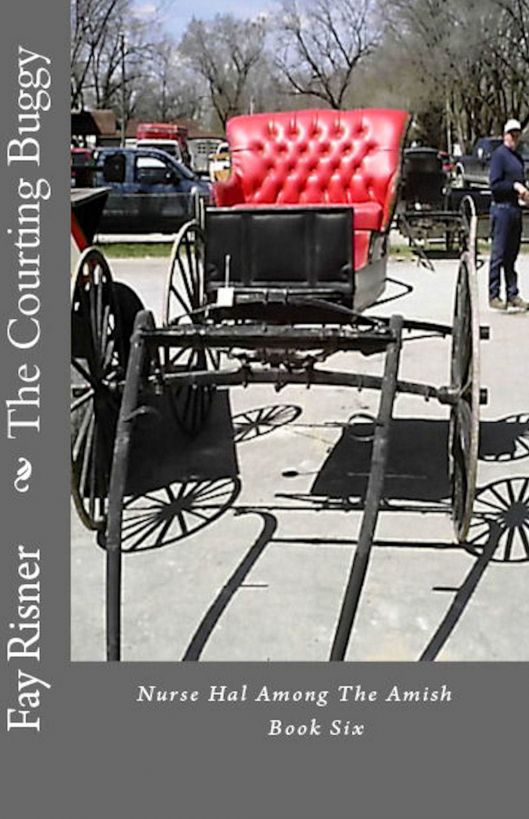 Courting Buggy: Nurse Hal Among The Amish by Risner, Fay