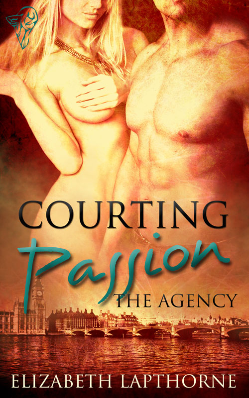 Courting Passion (2012) by Elizabeth Lapthorne