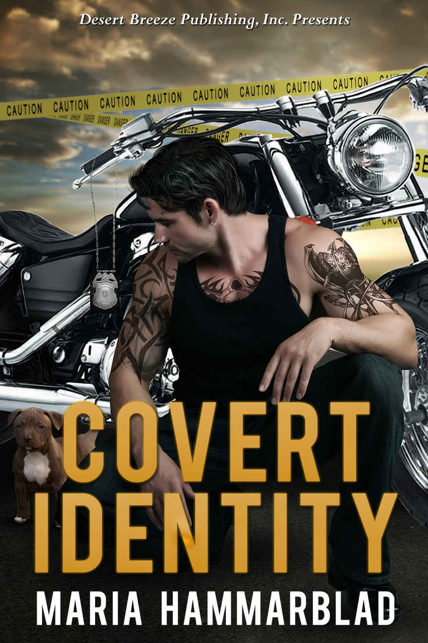 Covert Identity by Maria Hammarblad